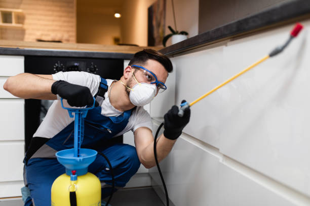 Best Affordable Pest Control Services  in Tamaqua, PA