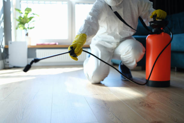 Professional Pest Control in Tamaqua, PA